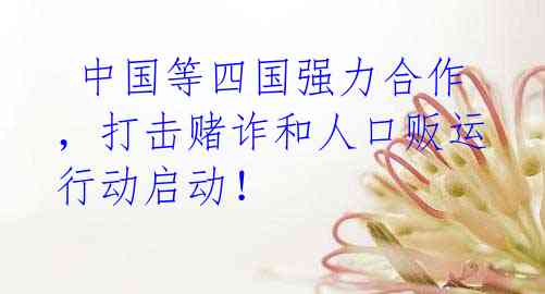 中国等四国强力合作,打击赌诈和人口贩运行动启动!