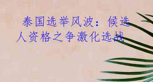 泰国选举风波:候选人资格之争激化选战