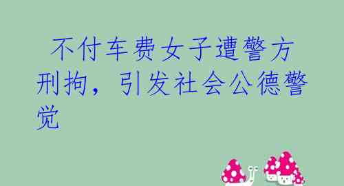 不付车费女子遭警方刑拘,引发社会公德警觉