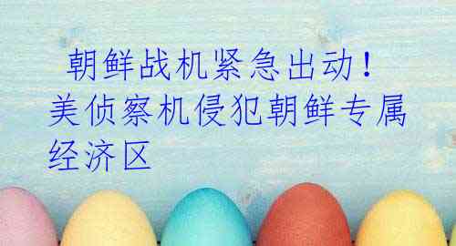 朝鲜战机紧急出动!美侦察机侵犯朝鲜专属经济区