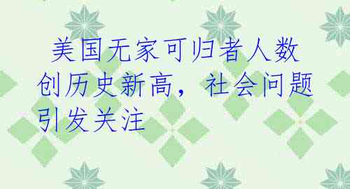 美国无家可归者人数创历史新高,社会问题引发关注