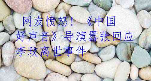 网友愤怒! 《中国好声音》导演嚣张回应李玟离世事件