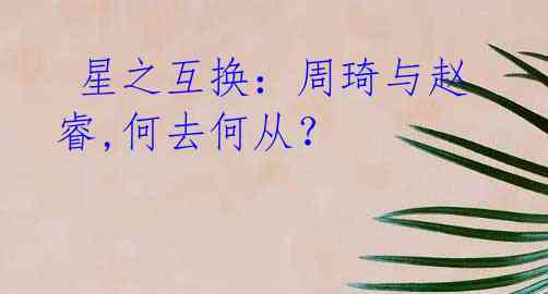 星之互换:周琦与赵睿,何去何从?