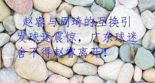 赵睿与周琦的互换引发球迷震惊,广东球迷舍不得赵睿离开!