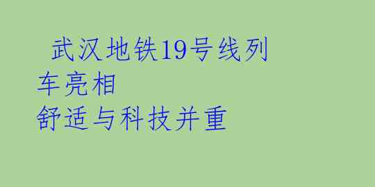  武汉地铁19号线列车亮相 舒适与科技并重 