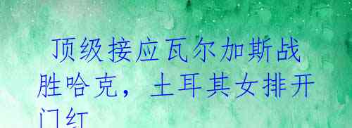 顶级接应瓦尔加斯战胜哈克,土耳其女排开门红