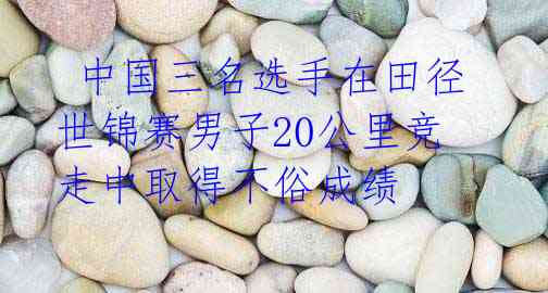 中国三名选手在田径世锦赛男子20公里竞走中取得不俗成绩