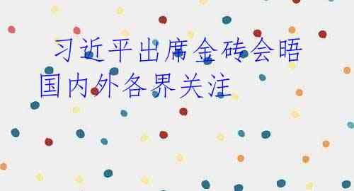 习近平出席金砖会晤 国内外各界关注
