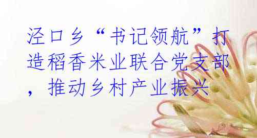 泾口乡“书记领航”打造稻香米业联合党支部,推动乡村产业振兴