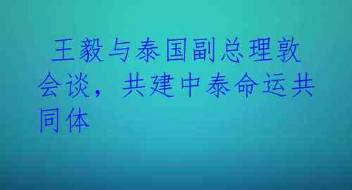王毅与泰国副总理敦会谈,共建中泰命运共同体