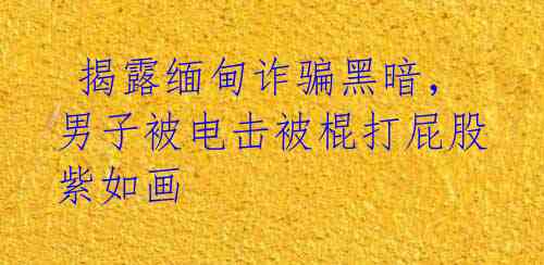 揭露缅甸诈骗黑暗,男子被电击被棍打屁股紫如画