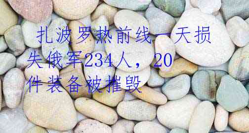 扎波罗热前线一天损失俄军234人,20件装备被摧毁
