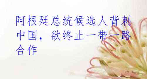 阿根廷总统候选人背刺中国,欲终止一带一路合作
