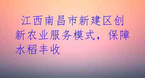  江西南昌市新建区创新农业服务模式，保障水稻丰收 