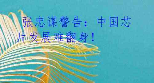 张忠谋警告:中国芯片发展难翻身!