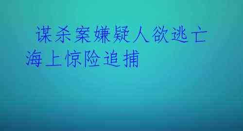 谋杀案嫌疑人欲逃亡 海上惊险追捕