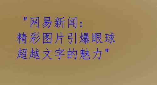 "网易新闻: 精彩图片引爆眼球 超越文字的魅力"