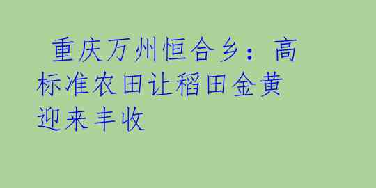  重庆万州恒合乡：高标准农田让稻田金黄 迎来丰收 