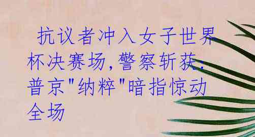 抗议者冲入女子世界杯决赛场,警察斩获:普京"纳粹"暗指惊动全场