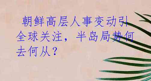 朝鲜高层人事变动引全球关注,半岛局势何去何从?