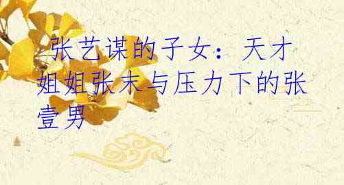 张艺谋的子女:天才姐姐张末与压力下的张壹男