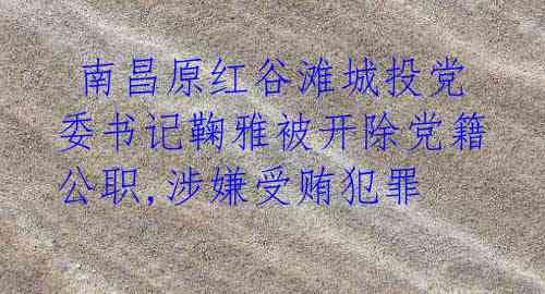 南昌原红谷滩城投党委书记鞠雅被开除党籍公职,涉嫌受贿犯罪