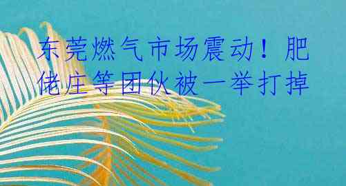 东莞燃气市场震动!肥佬庄等团伙被一举打掉