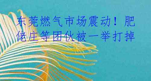 东莞燃气市场震动！肥佬庄等团伙被一举打掉 