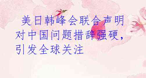 美日韩峰会联合声明对中国问题措辞强硬,引发全球关注