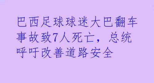巴西足球球迷大巴翻车事故致7人死亡,总统呼吁改善道路安全