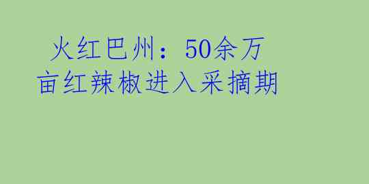  火红巴州：50余万亩红辣椒进入采摘期 