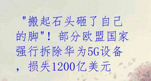 "搬起石头砸了自己的脚"!部分欧盟国家强行拆除华为5G设备,损失1200亿美元
