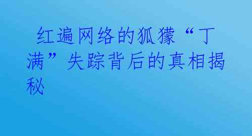 红遍网络的狐獴“丁满”失踪背后的真相揭秘