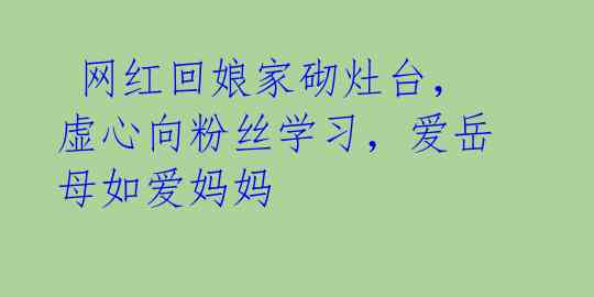 网红回娘家砌灶台,虚心向粉丝学习,爱岳母如爱妈妈