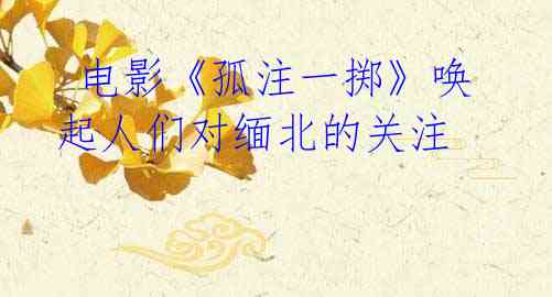 电影《孤注一掷》唤起人们对缅北的关注