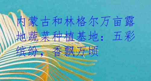 内蒙古和林格尔万亩露地蔬菜种植基地：五彩缤纷，香飘万顷 