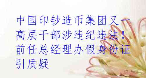 中国印钞造币集团又一高层干部涉违纪违法!前任总经理办假身份证引质疑