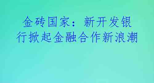 金砖国家:新开发银行掀起金融合作新浪潮