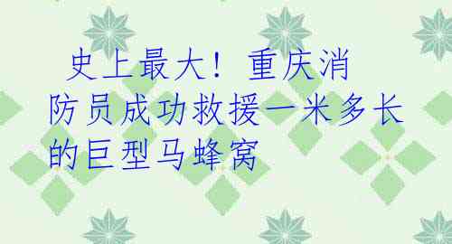 史上最大! 重庆消防员成功救援一米多长的巨型马蜂窝