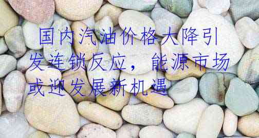 国内汽油价格大降引发连锁反应,能源市场或迎发展新机遇