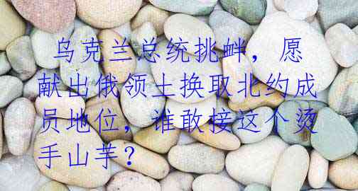 乌克兰总统挑衅,愿献出俄领土换取北约成员地位,谁敢接这个烫手山芋?