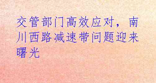 交管部门高效应对,南川西路减速带问题迎来曙光