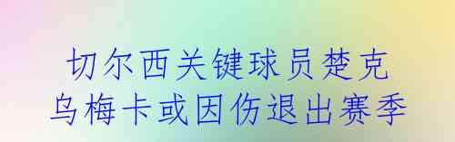  切尔西关键球员楚克乌梅卡或因伤退出赛季 