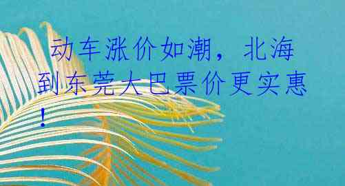 动车涨价如潮,北海到东莞大巴票价更实惠!