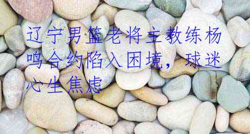 辽宁男篮老将主教练杨鸣合约陷入困境,球迷心生焦虑