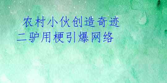  农村小伙创造奇迹 二驴用梗引爆网络 