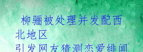 柳骊被处理并发配西北地区 引发网友猜测恋爱绯闻