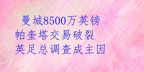  曼城8500万英镑帕奎塔交易破裂 英足总调查成主因 