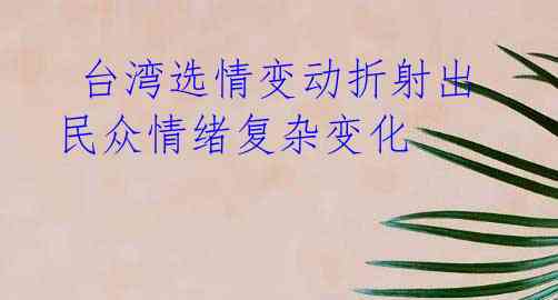 台湾选情变动折射出民众情绪复杂变化