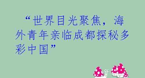  “世界目光聚焦，海外青年亲临成都探秘多彩中国” 